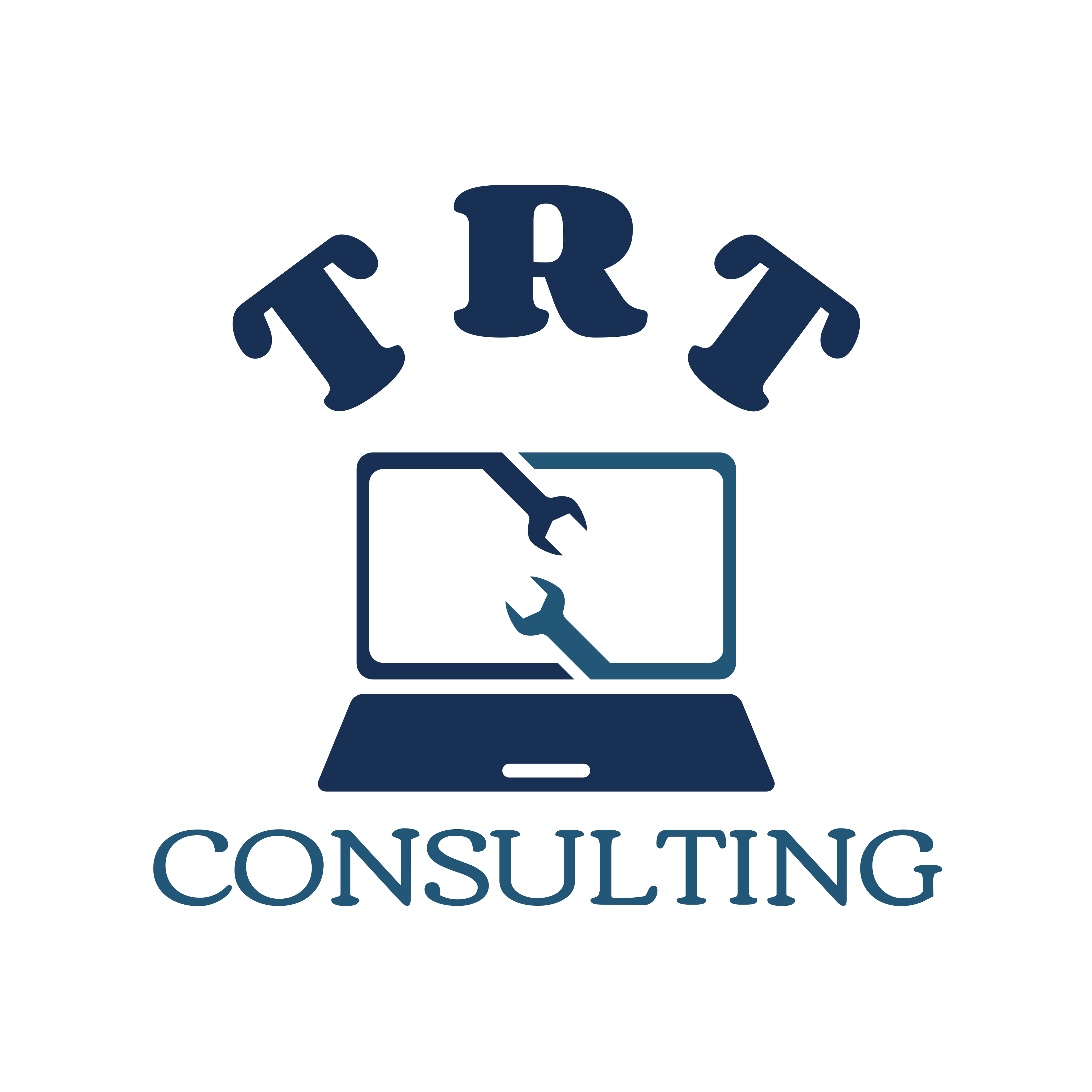 Julien TRT CONSULTING